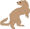 Ferret Looking Back Clip Art